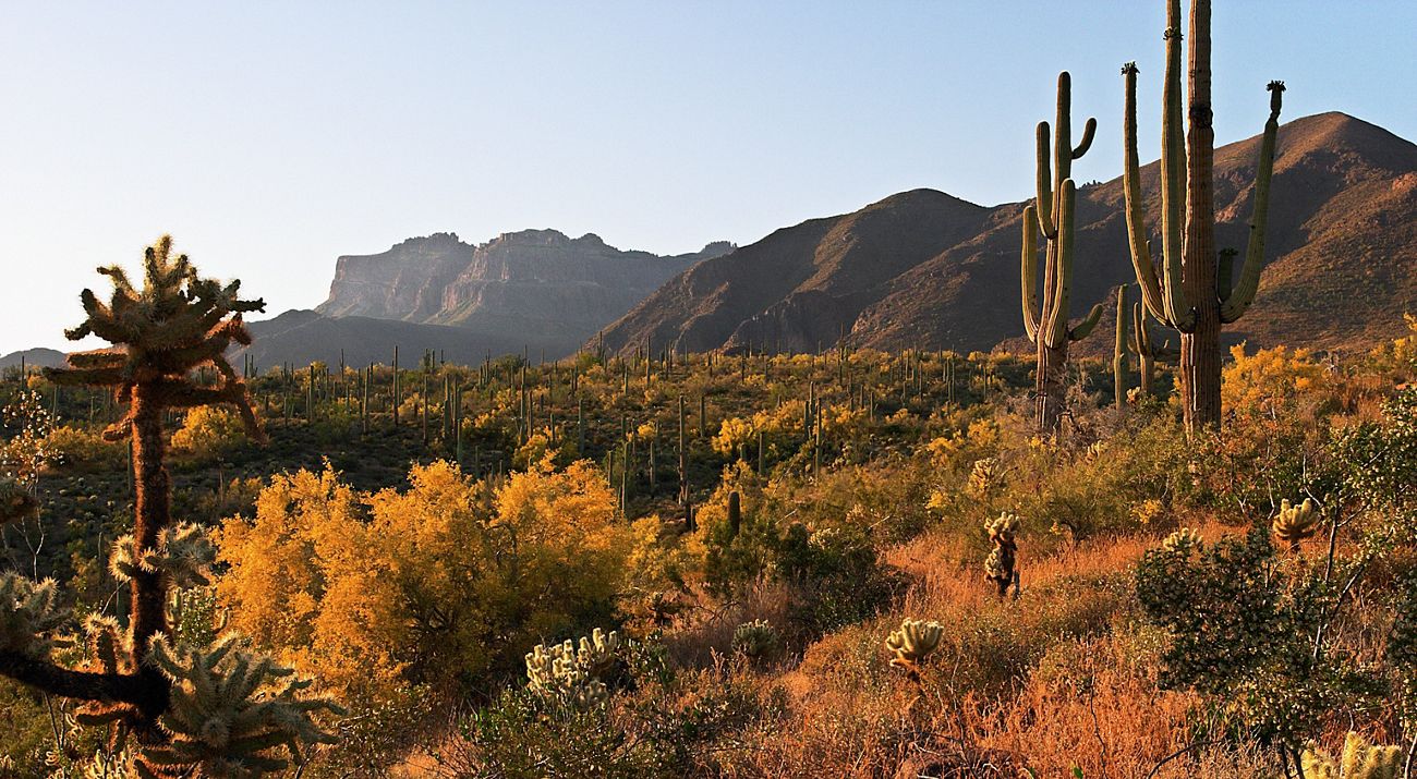 A Picture of Arizona